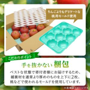 ふるさと納税 青森市 【りんご品評会最高賞】サ...の詳細画像3