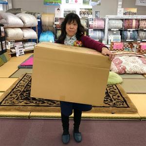ふるさと納税 近江八幡市 希少羽毛 アイダーダ...の詳細画像3