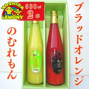 ふるさと納税 宇城市 のむれもん・ブラッドオレンジ　530ml　2本セット