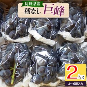 ふるさと納税 長野市 長野県長野市産種なし巨峰2kg(3〜6房入り)