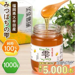 ふるさと納税 大牟田市 坂井養蜂場　みつばちの雫　1000g｜Yahoo!ふるさと納税
