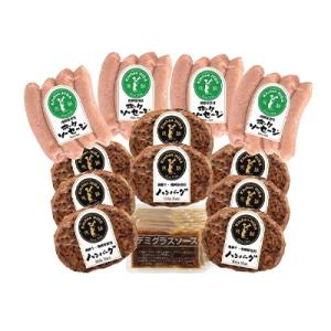 ふるさと納税 高山市 キッチン飛騨　飛騨牛・飛騨豚使用ハンバーグとソーセージセット b513