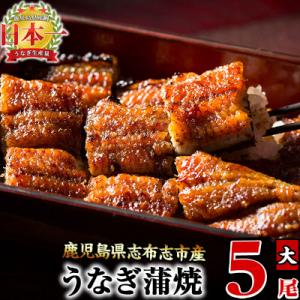 ふるさと納税 志布志市 うなぎの大楠<大>5尾セ...の商品画像