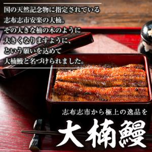 ふるさと納税 志布志市 うなぎの大楠<大>5尾...の詳細画像1