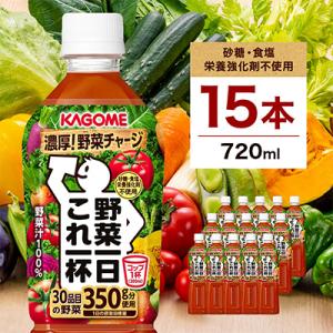 ふるさと納税 那須塩原市 カゴメ　野菜一日これ一杯　720mlPET×15本
