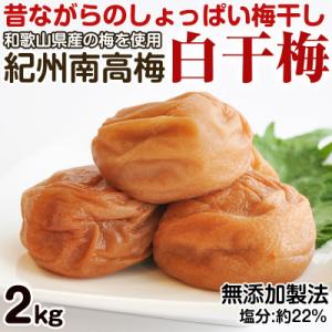 ふるさと納税 御坊市 昔ながらのしょっぱい梅干し 白干梅 2kg 中粒2L 無添加 すっぱい梅干し 紀州南高梅 和歌山県産