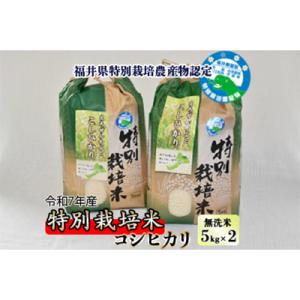 ふるさと納税 勝山市 【令和7年産】 特別栽培米 コシヒカリ 5kg×2 (無洗米)