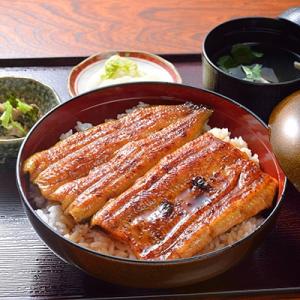 ふるさと納税 吉田町 うなぎお食事券　うな丼2人前(鰻カネイチ)