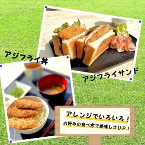 ふるさと納税 松浦市 「アジフライの聖地 松浦...の詳細画像2