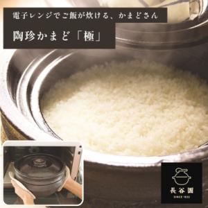 ふるさと納税 伊賀市 長谷園　伊賀焼 電子レンジ炊飯土鍋 陶珍かまど 「極」2合炊き　クロ