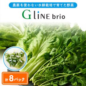 ふるさと納税 太子町 G Line brio レタス8パックセット