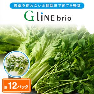 ふるさと納税 太子町 G Line brio レタス12パックセット