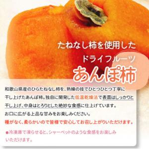 ふるさと納税 高野町 【高野町】紀州かつらぎ山...の詳細画像1