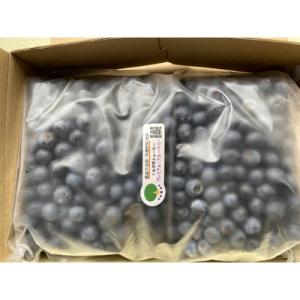 ふるさと納税 土浦市 大粒・濃厚!冷凍ブルーベリー1kg