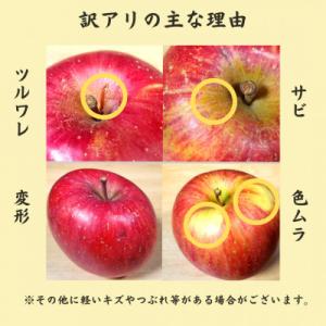 ふるさと納税 五戸町 【青森ごのへ産】 家庭用...の詳細画像1