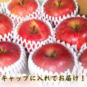 ふるさと納税 五戸町 【青森ごのへ産】 家庭用...の詳細画像2