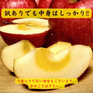 ふるさと納税 五戸町 【青森ごのへ産】 家庭用...の詳細画像3