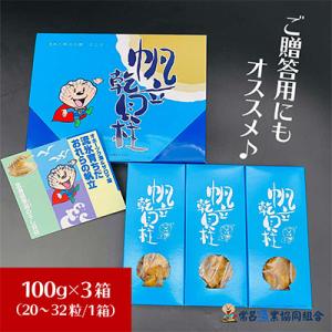 ふるさと納税 北見市 北海道産 乾貝柱300gの詳細画像2