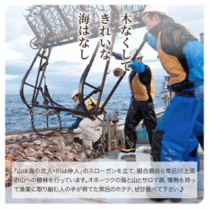 ふるさと納税 北見市 北海道産 乾貝柱300gの詳細画像3