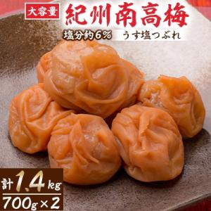ふるさと納税 御坊市 大容量　紀州南高梅うす塩つぶれ(塩分約6%)