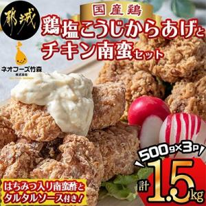 ふるさと納税 都城市 鶏塩こうじからあげとチキン南蛮セット