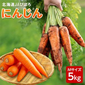 ふるさと納税 美幌町 2026年産 北海道JAびほろ にんじん5kg