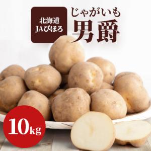 ふるさと納税 美幌町 じゃがいも「男爵」10kg