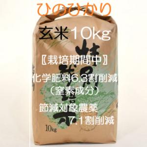 ふるさと納税 諫早市 【令和7年産】特別栽培米・九州のこだわり米「ひのひかり」 玄米10kg