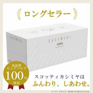 ふるさと納税 福知山市 【ボックスティッシュ】...の詳細画像1