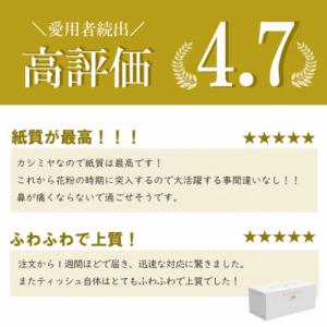 ふるさと納税 福知山市 【ボックスティッシュ】...の詳細画像3