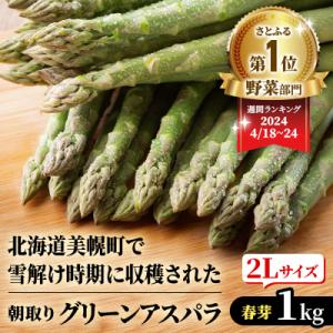ふるさと納税 美幌町 2026年産 柔らかくて瑞々しい朝取りグリーンアスパラ(春芽)2L 1kg