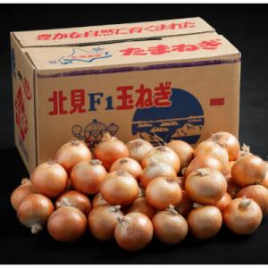 ふるさと納税 美幌町 【先行受付】玉ねぎLサイ...の詳細画像2
