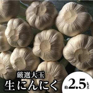 ふるさと納税 高松市 【感謝企画3000セット・2027年5〜6月発送】厳選大玉　生にんにく　約2....