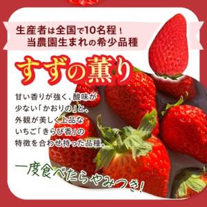 ふるさと納税 掛川市 【2027年発送先行受付...の詳細画像2
