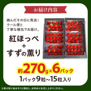 ふるさと納税 掛川市 【2027年発送先行受付...の詳細画像3