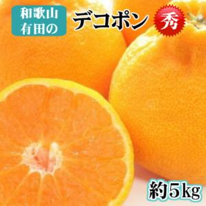 ふるさと納税 湯浅町 【先行予約】【秀品】和歌山有田のデコポン!約5kg ギフトにも