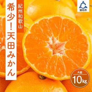ふるさと納税 御坊市 希少!天田みかん(紀州和歌山)A級10kg