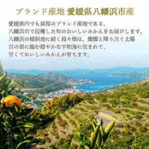 ふるさと納税 八幡浜市 【先行受付】とろける濃...の詳細画像2