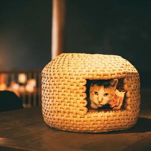 ふるさと納税 久万高原町 猫ちぐら 大