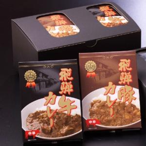 ふるさと納税 高山市 飛騨牛カレー、飛騨豚カレーセット　200g×各5箱(計10箱)　b583
