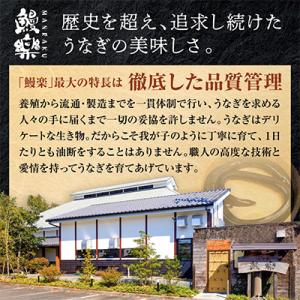 ふるさと納税 宮崎市 国産 うなぎ蒲焼4尾・き...の詳細画像2
