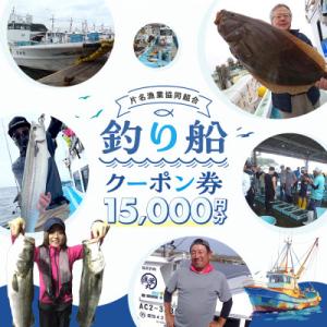 ふるさと納税 南知多町 片名漁協　釣り船　クーポン券　15,000円