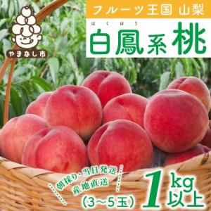 ふるさと納税 山梨市 2026年先行受付　山梨県産 桃 白鳳系 1kg以上(3〜5玉) フルーツ王国・山梨から産地直送