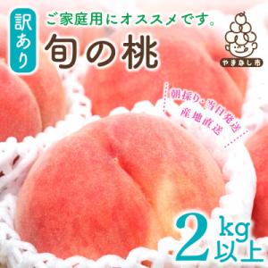 ふるさと納税 山梨市 2026年発送【訳あり】桃...の商品画像