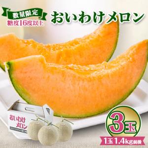 ふるさと納税 安平町 【2026年発送】おいわけ...の商品画像