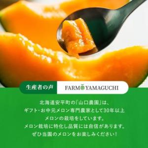ふるさと納税 安平町 【2026年発送】おいわ...の詳細画像2