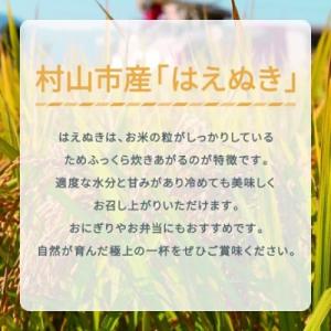 ふるさと納税 村山市 新米 令和8年産 はえぬ...の詳細画像2