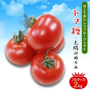 ふるさと納税 南アルプス市 食べ出したら止まらない・おいしい〜甘〜いフルーツトマト「トマ糖‐太陽のめ...
