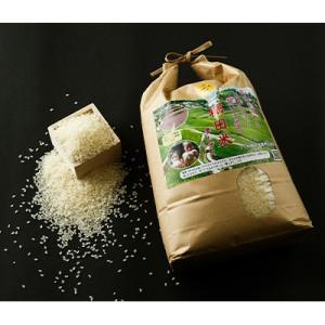 ふるさと納税 多久市 令和7年産　ひらの棚田米夢しずく(精米白米4.5kg+玄米5kg)