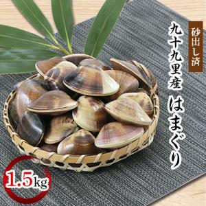 ふるさと納税 白子町 九十九里産　はまぐり　1.5kg